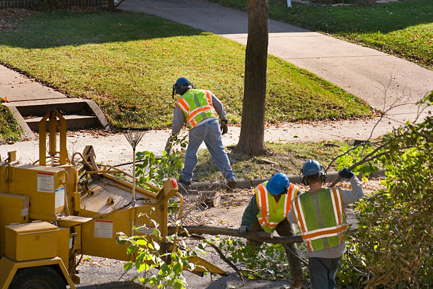Best Lawn Irrigation Installation and Maintenance  in San Juan Bautista, CA