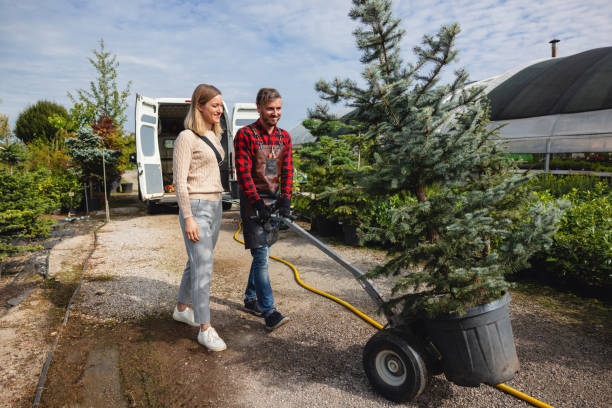 Best Tree Mulching  in San Juan Bautista, CA